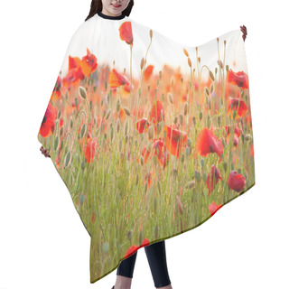 Personality  Field Of Poppies Selective Focus. Nature Summer Wild Flowers. Vivid Red Flower Poppies Plant. Buds Of Wildflowers. Poppy Blossom Background. Floral Botanical Mood. Leaf And Bush Poppy Flower. Sky Hair Cutting Cape