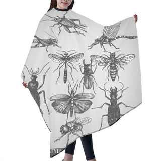 Personality  Vector Set Of Insects On Grunge Background Hair Cutting Cape