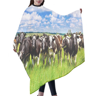 Personality  Cattle In The Meadow Hair Cutting Cape