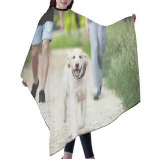 Personality  Beautiful Dog For A Walk In The Park Runs Hair Cutting Cape