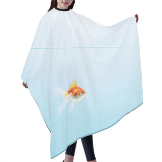 Personality  Transparent Pure Calm Water With Goldfish On Blue Background Hair Cutting Cape