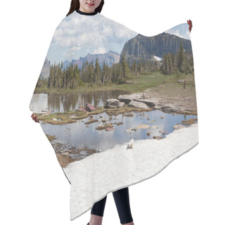 Personality  Wild Goat In Mountains Hair Cutting Cape