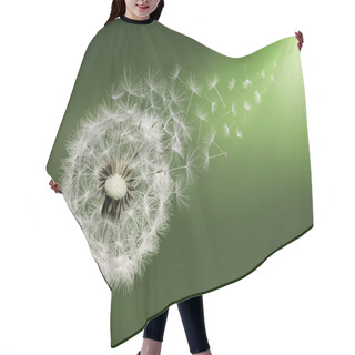 Personality  Dandelion Clock In Morning Hair Cutting Cape