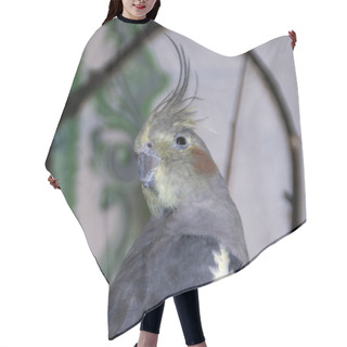 Personality  Parrot Posing Hair Cutting Cape