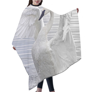 Personality  Trumpeter Swan Hair Cutting Cape