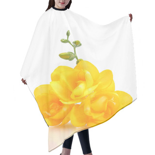 Personality  Beautiful Yellow Freesia Isolated On White Hair Cutting Cape
