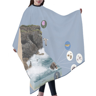 Personality  3d Model Ecosystem Cliff Hair Cutting Cape