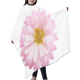 Personality  Chrysanthemum Isolated Hair Cutting Cape