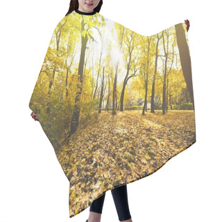 Personality  Autumn Forest Covered With Fallen Leaves Hair Cutting Cape