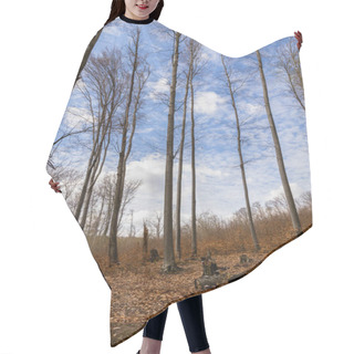 Personality  Wide Angle View Of Trees And Sky In Mountain Forest  Hair Cutting Cape
