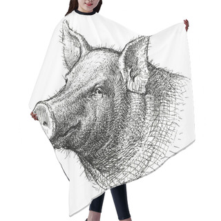 Personality  Sketch Of A Smiling Swine Hair Cutting Cape