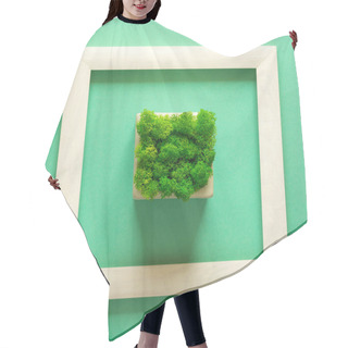 Personality  Minimalism. Masterpiece In Wooden Frame. Moss In Pot. Top View. Flat Lay. Eco Concept. Hair Cutting Cape