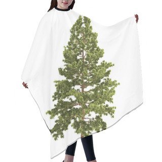 Personality  Tall Pine Tree Isolated Hair Cutting Cape