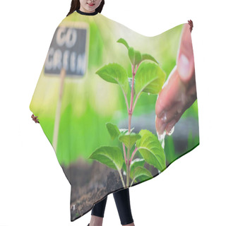 Personality  Cropped View Of Gardener Pouring Water On Plant In Soil In Blurred Garden  Hair Cutting Cape