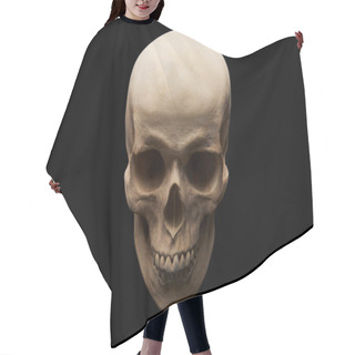Personality  Spooky Human Skull Isolated On Black, Halloween Decoration Hair Cutting Cape