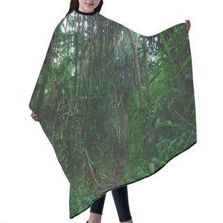 Personality  Lush Scenery Of The Rainforest In Thailand Hair Cutting Cape