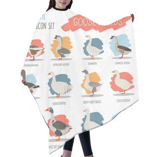 Personality  Poultry Farming. Goose Breeds Icon Set. Flat Design Hair Cutting Cape