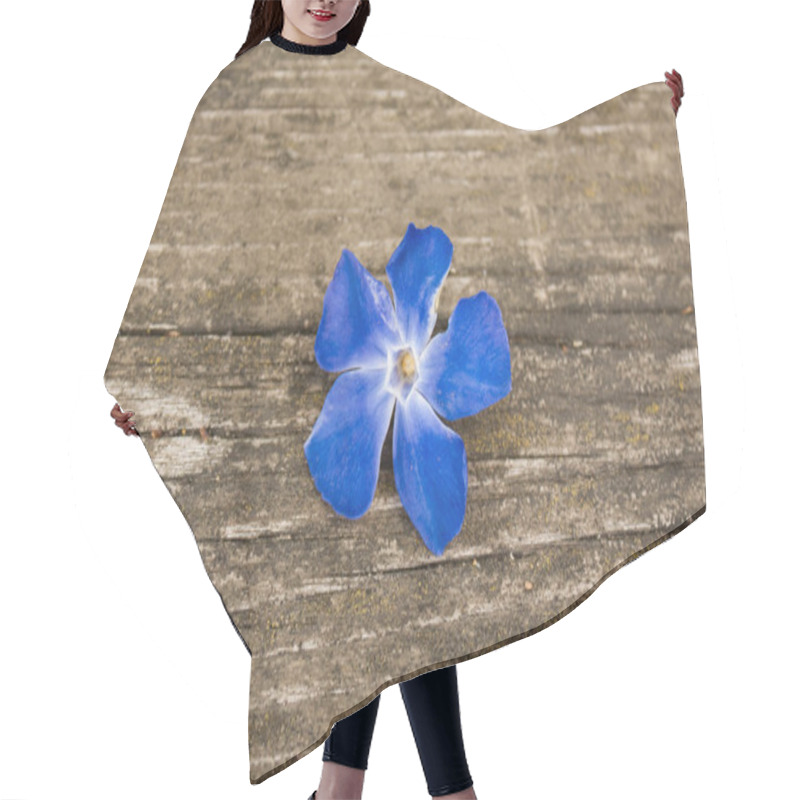 Personality  single flower close-up on a wooden table. blue periwinkle flower on a wooden background. hair cutting cape