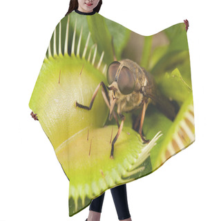Personality  Horse-fly And Green Flytrap  Hair Cutting Cape