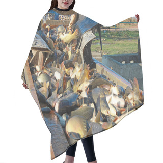 Personality  Fishing Industry Hair Cutting Cape