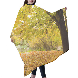 Personality  Yellow Leafs In Park At Fall Hair Cutting Cape