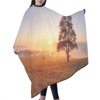 Personality  Alone Tree On Meadow At Sunset With Sun And Mist - Panorama Hair Cutting Cape