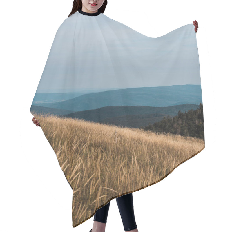 Personality  Scenic And Blue Silhouette Of Mountains Near Golden Field  Hair Cutting Cape