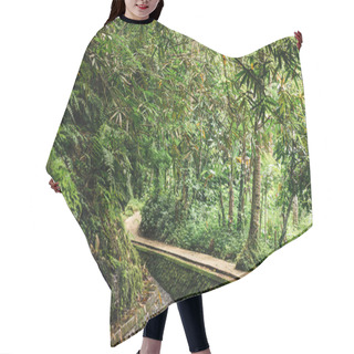 Personality  Scenic View Of Stream In Green Forest In Ubud, Bali, Indonesia Hair Cutting Cape