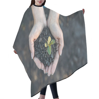 Personality  Hands Holding Young Plant With Soil  Hair Cutting Cape