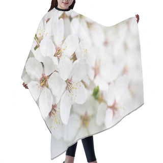 Personality  Plum Flowers Hair Cutting Cape