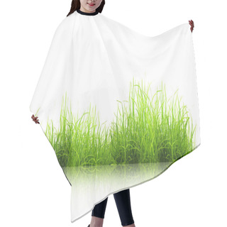 Personality  Green Grass With Reflection Isolated On White Background Hair Cutting Cape