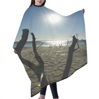 Personality  Salt Lake Hair Cutting Cape