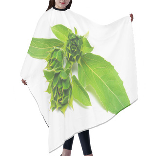 Personality  Green Sunflowers Buds  Hair Cutting Cape