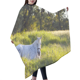 Personality  Beautiful  White Horse Lying In Green Grass Hair Cutting Cape