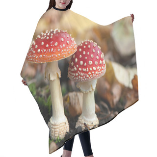 Personality  Two Spotted Toadstools Hair Cutting Cape