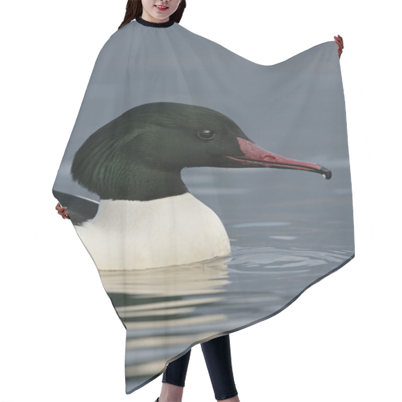 Personality  Goosander, Mergus Merganser Hair Cutting Cape