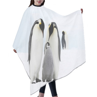 Personality  Emperor Penguin Family Hair Cutting Cape