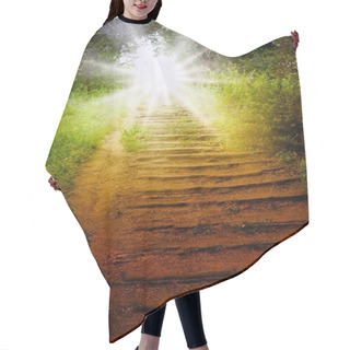 Personality  Way To Heaven Hair Cutting Cape