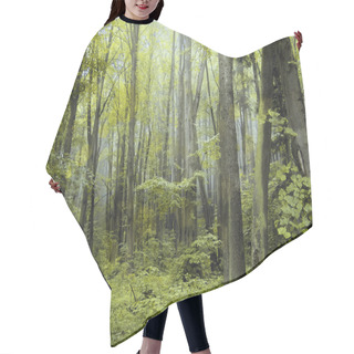 Personality  Magic Forest Hair Cutting Cape