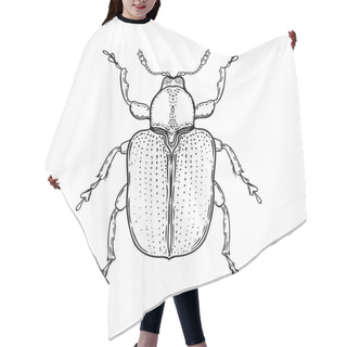 Personality  Hand Drawn Bug In Vintage Style. Beetles Vector Illustration Isolated On White Background. Retro Tattoo Design, Astrology, Alchemy, Magic Symbol. Hair Cutting Cape