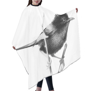 Personality  Red Backed Fairy Wren Sitting On A Branch. Pencil Drawing, Isolated On White Background Hair Cutting Cape