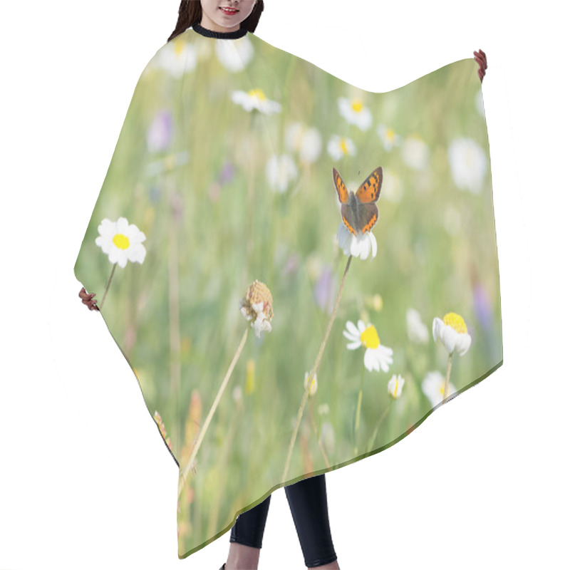 Personality  Flowers And Butterfly In Natural Life Hair Cutting Cape