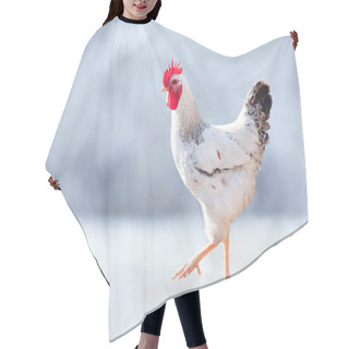 Personality  Christmas. White Rooster Hair Cutting Cape