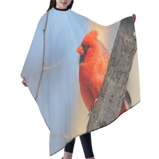 Personality  Male Cardinal In The Woods Hair Cutting Cape