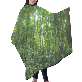 Personality  Tropical Rainforest Landscape, Amazon Hair Cutting Cape