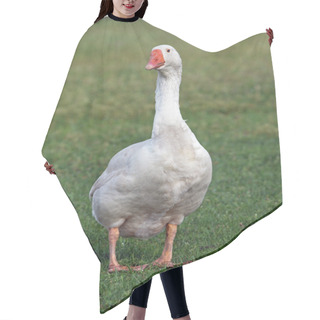 Personality  White Domestic Goose On Meadow Hair Cutting Cape