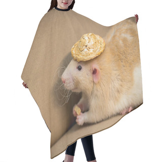 Personality  Fancy Fawn Colored Dumbo Eared Pet Rat Wearing Straw Hat Hair Cutting Cape