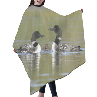 Personality  Pair Of Common Loons Keeping Watch Over Their Baby Hair Cutting Cape