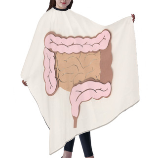 Personality  Elevated View Of Human Large Intestine On Beige Hair Cutting Cape
