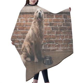 Personality  Adorable Retriever Sitting Near Bowl At Home With Copy Space Hair Cutting Cape